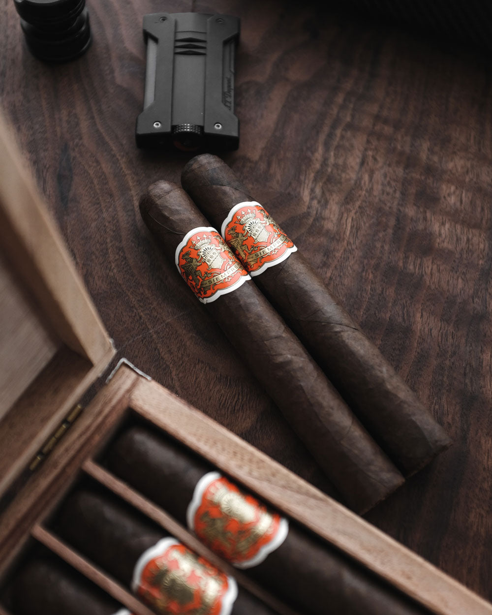 Dapper Siempre Sun Grown