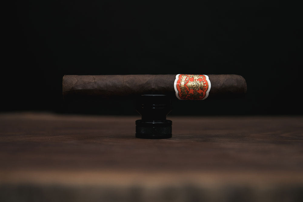 Dapper Siempre Sun Grown