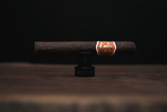 Dapper Siempre Sun Grown